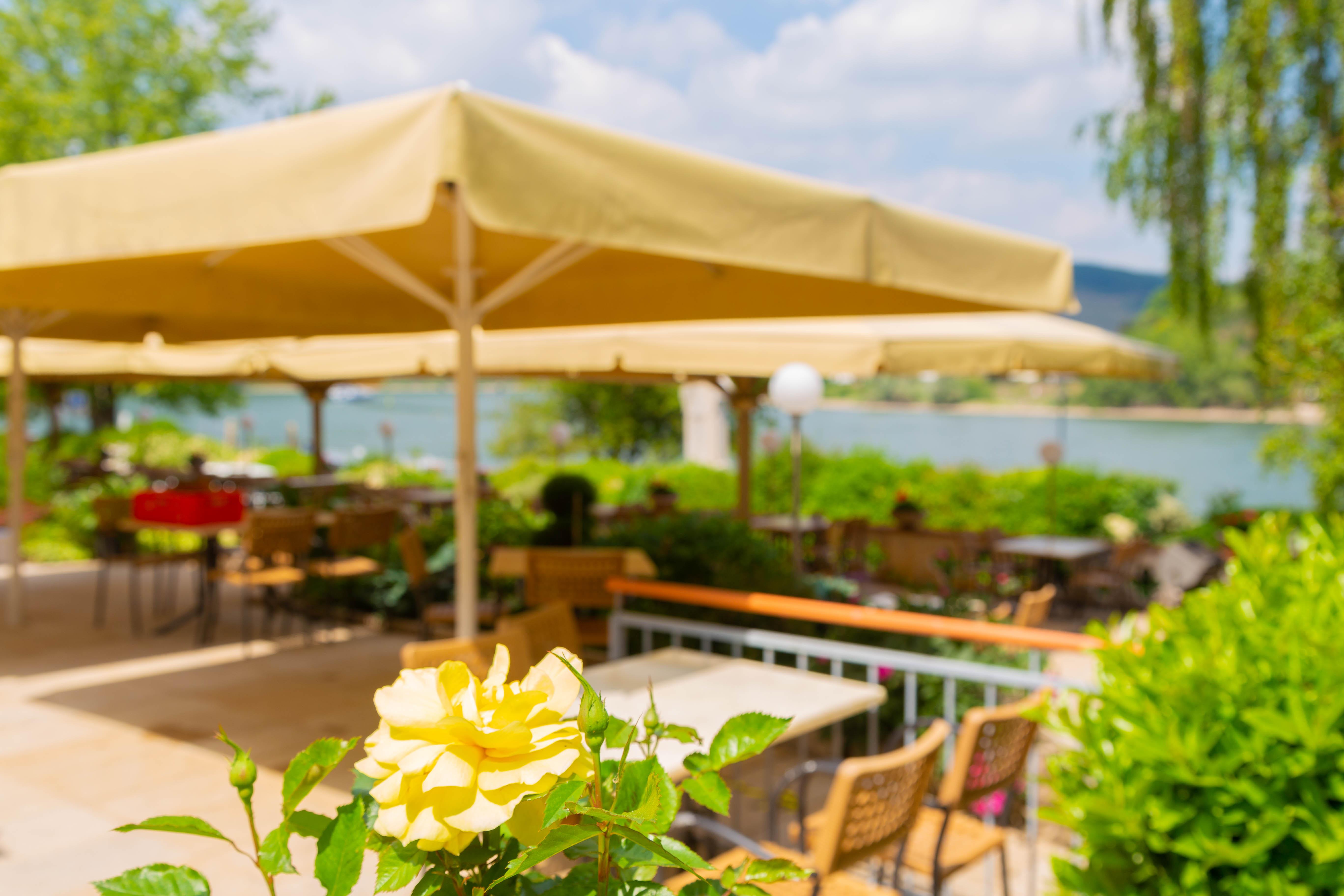 Das Ebertor - Hotel & Hostel Boppard Dış mekan fotoğraf